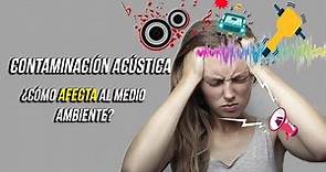 ¿Cómo afecta al Medio Ambiente la Contaminación Acústica?