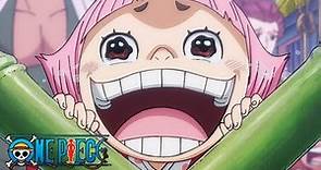 The Truth of SMILE | One Piece