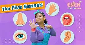 Learning the five senses for children - Preschool Education