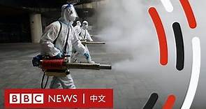 新冠疫情懶人包：為何中國仍在堅持「清零」政策？－ BBC News 中文