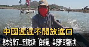 中國進口跳票！宏都拉斯想念台灣了 與我斷交「白蝦業」陷困境－民視新聞