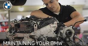 Maintain Your Luxury BMW at Your Local BMW Service Center | BMW USA