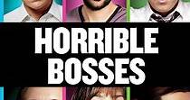 Horrible Bosses - movie: watch stream online