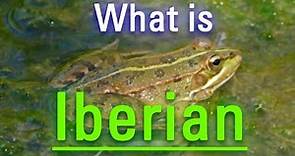How to Say Iberian in English? | How Does Iberian Look? | What is Iberian?