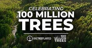 How We Planted 100 Million Trees | One Tree Planted