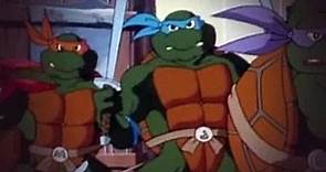 Teenage Mutant Ninja Turtles S09E01 The Unknown Ninja