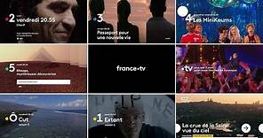 Le 29 janvier 2018, l'identité visuelle de France Télévisions évolue