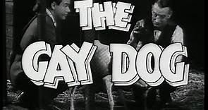 The Gay Dog | movie | 1954 | Official Trailer