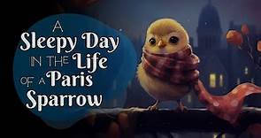 A Cute & Cozy Sleepy Story🐦A Sleepy Day in the Life of a Paris Sparrow | Storytelling and CALM Music