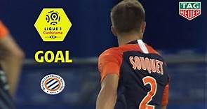 Goal Arnaud SOUQUET (31') / Montpellier Hérault SC - Nîmes Olympique (1-0) (MHSC-NIMES) / 2019-20