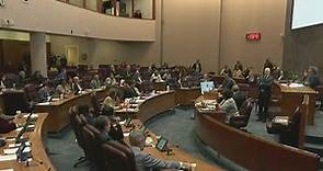 Alderman, alderperson, alderwoman? The great City Council debate continues