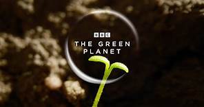 The Green Planet | Official Trailer | New Attenborough Series | BBC Earth
