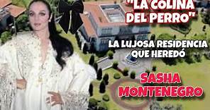 La Mansión que Heredó Sasha Montenegro de Lopez Portillo | CONOCIDA COMO LA COLINA DEL PERRO
