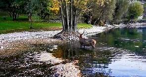 Lo spettacolo della Natura... in Abruzzo!