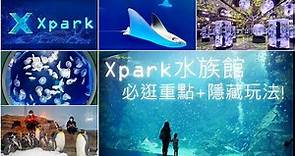 【今天不在家】桃園Xpark水族館．必逛重點+隱藏版玩法!