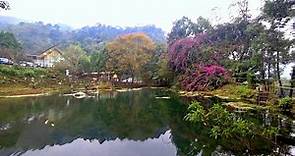【峇里森林溫泉渡假村】早餐 - 新竹尖石 Bali Forest Hot Spring Resort, Jianshi Hsinchu (Taiwan)