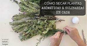 Cómo secar hierbas aromáticas y culinarias en casa
