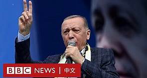 埃爾多安領導下的土耳其發生了怎樣的變化?－ BBC News 中文