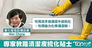 新年大掃除抹皮具傢俬　專家教皮梳化清潔有竅門【有片】 - 香港經濟日報 - TOPick - 親子 - 休閒消費