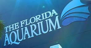 Welcome to The Florida Aquarium!