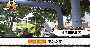 🌙今夜11時 『#キンシオ 』... - ｔｖｋ（テレビ神奈川） / television kanagawa inc.