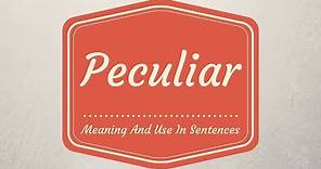 Meaning Of Peculiar || English Vocabulary Lessons