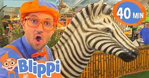 Blippi Learns Jungle Animals | Animals For Kids | Educational Videos For Children