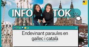 Endevinant paraules en gallec i català | Infotok - EL NACIONAL