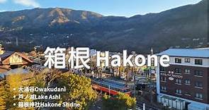 【日本旅遊】🇯🇵一日箱根Hakone：從日出到日落；大涌谷、箱根登山纜車【東京近郊】Owakudani, Hakone Ropeway, Hakone Shrine. 【하코네 여행】