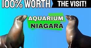 Aquarium of Niagara - 100% Worth the Visit