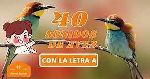 40 Nombres y Sonidos de Pájaros para Aprender con la Letra A - Aprenda sus Nombres en Español