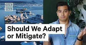 Adaptation vs. Mitigation Climate Change Solutions