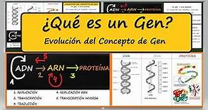 ¿Qué es un GEN?. DEFINICIÓN. Evolución del Concepto de Gen. Genética Molecular. BIOLOGÍA MOLECULAR.