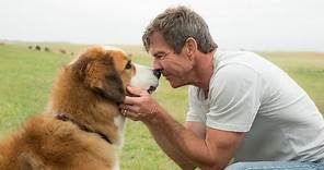 A DOG'S PURPOSE | Official Trailer | Universal Pictures Canada