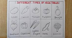 Different types of Vegetables drawing easy| How to draw 10 Different types of Vegetables