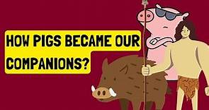 History of Pig Domestication