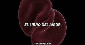 The Book Of Love - Peter Gabriel | subtitulado al español