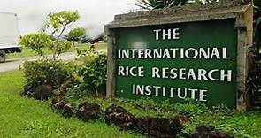 International Rice Research Institute IRRI, Philippines