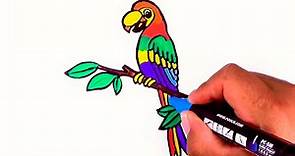 Como dibujar loro y colorear con plumones - Dibujo de loro para niños