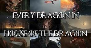 Every Dragon in House of the Dragon Explained | Official List | Game of Thrones Prequel | HBO Max