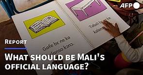 Debate on Mali's official language sparked by constitution draft | AFP