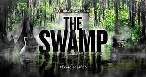 The Swamp | Coming to American Experience