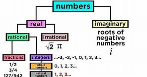 What are the Types of Numbers? Real vs. Imaginary, Rational vs. Irrational