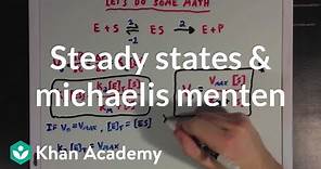 Steady states and the Michaelis Menten equation | Biomolecules | MCAT | Khan Academy