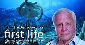 First Life with David Attenborough - Ep 1 Arrival (2010)