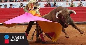 ¿Qué pasará con los toros tras prohibición de las corridas en la Plaza México?