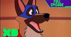 Flash the Wonder Dog | S1 E4 | Full Episode | Chip n Dale Rescue Rangers | @disneyxd
