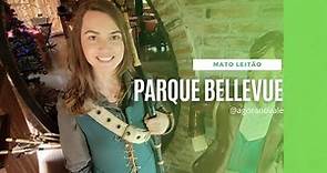 Conheça o parque temático Bellevue em Mato Leitão