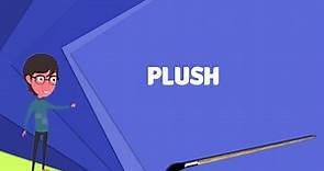 What is Plush? Explain Plush, Define Plush, Meaning of Plush