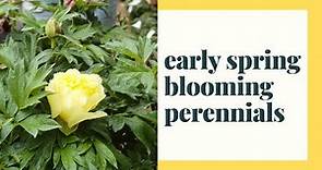 Early Spring Blooming Perennials
